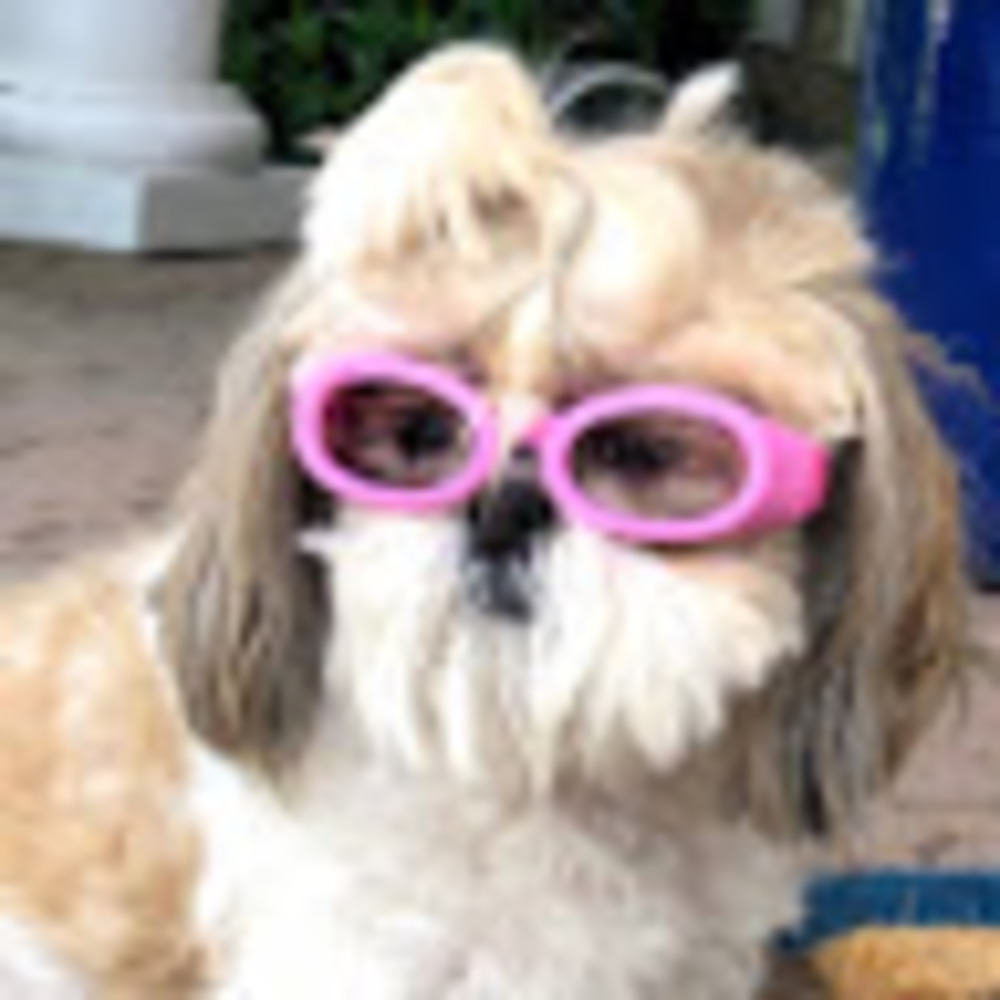 Meet your Posher, Samantha